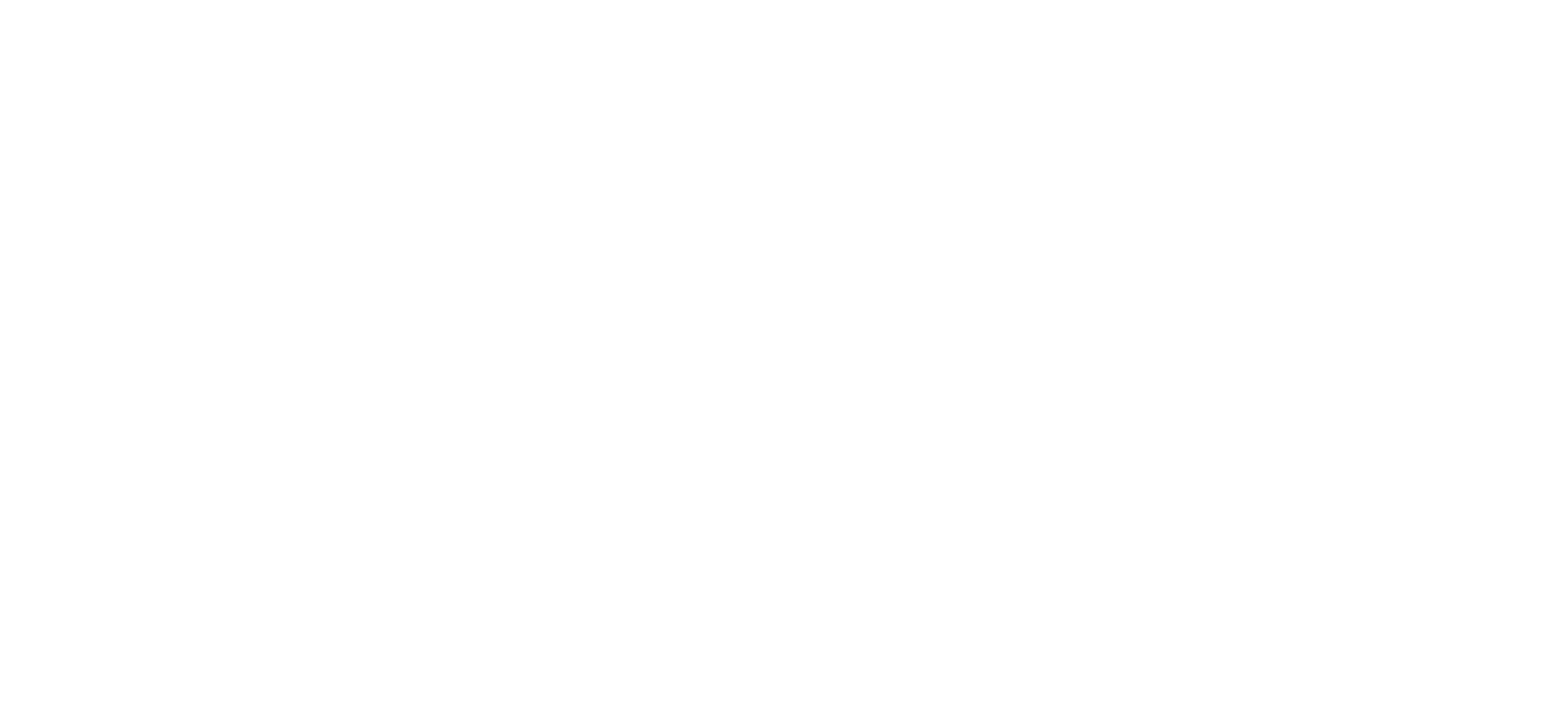 Proffessional Quality-01